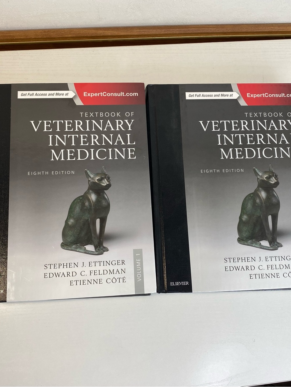 Veterinary Internal Medicine : Diseases of the Dog and Cat (Hardcover) (VOL 1&2)